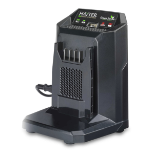 Hayter/Toro 60V 2A BATTERY CHARGER